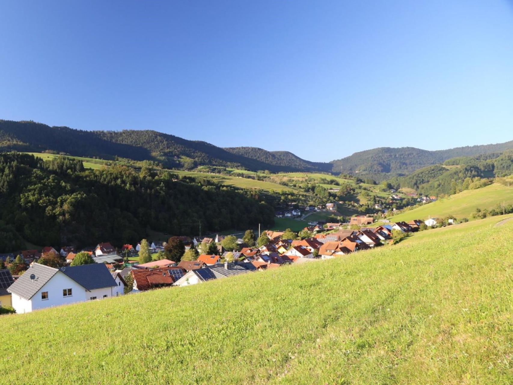 Appartement Schwarzwaldstueble Oberharmersbach Exterior foto